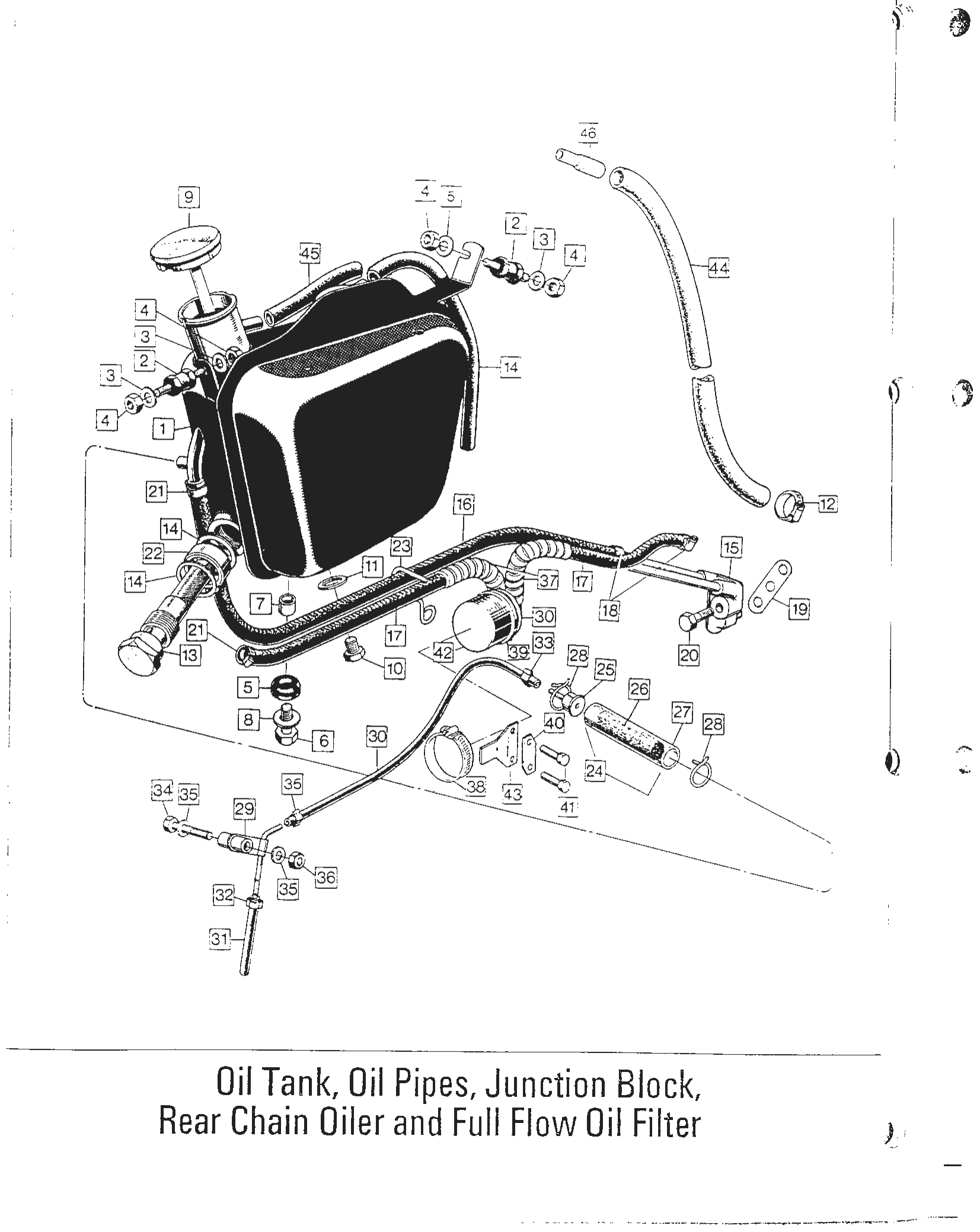 Norton Clip